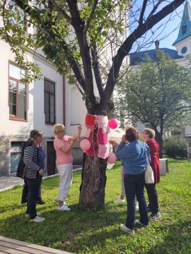 Drevo pred Čipkarsko šolo je dobila prav posebno rožnato jopico.